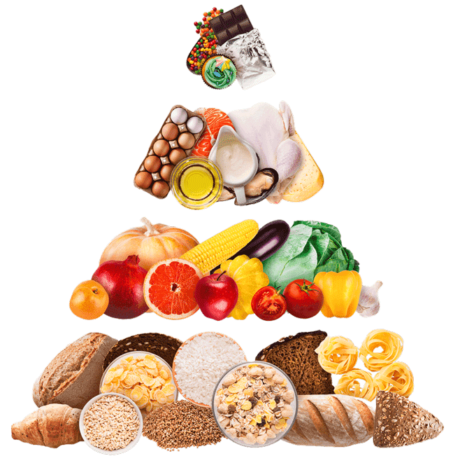 Beslenme Uzmanı Konsepti